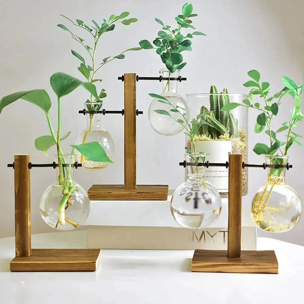 Terrarium de plantes artisanal – Verre soufflé et bois façonné à la main dans mon atelier