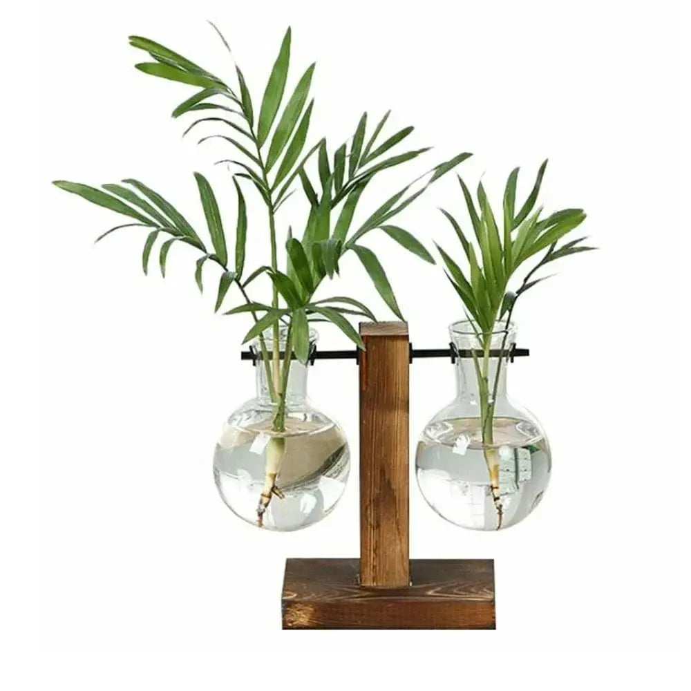 Terrarium de plantes artisanal – Verre soufflé et bois façonné à la main dans mon atelier