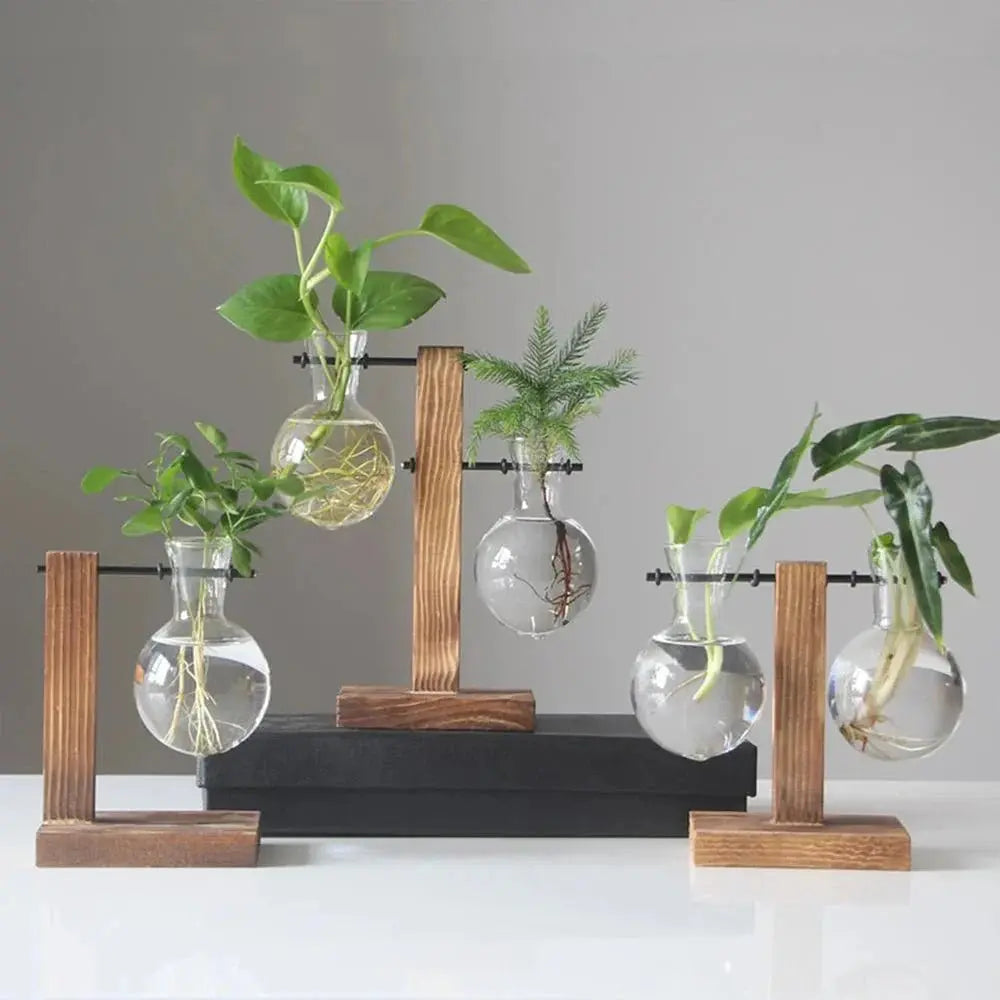 Terrarium de plantes artisanal – Verre soufflé et bois façonné à la main dans mon atelier